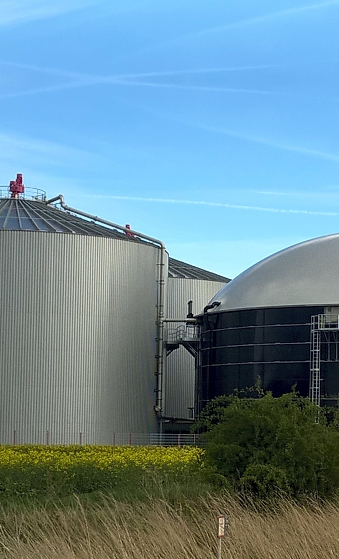 Biogas